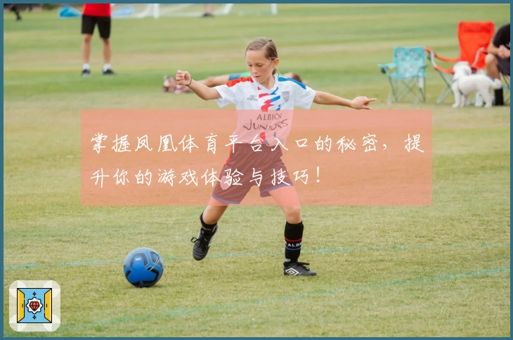 掌握凤凰体育平台入口的秘密，提升你的游戏体验与技巧！
