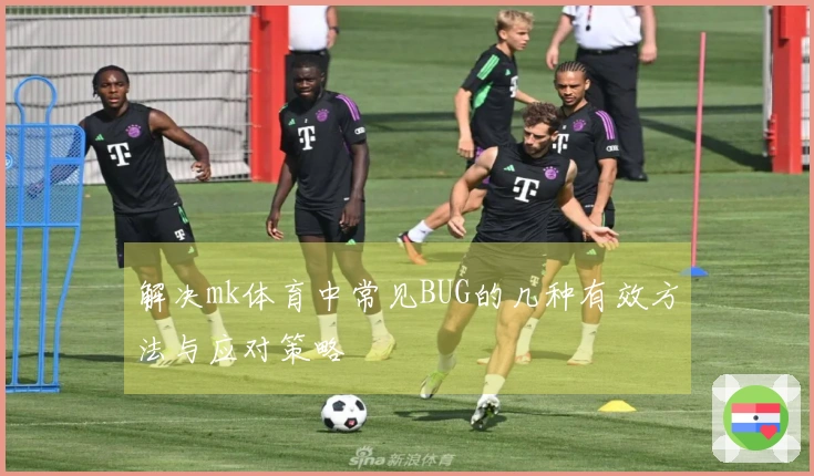 解决mk体育中常见BUG的几种有效方法与应对策略