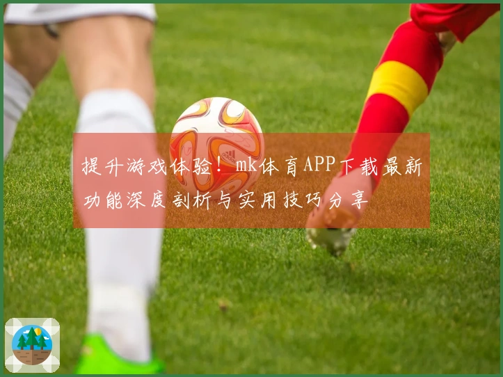 提升游戏体验！mk体育APP下载最新功能深度剖析与实用技巧分享