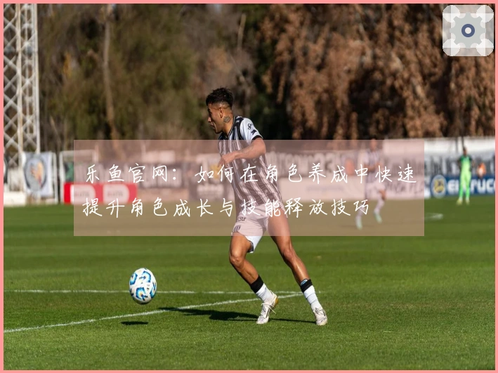 乐鱼官网：如何在角色养成中快速提升角色成长与技能释放技巧