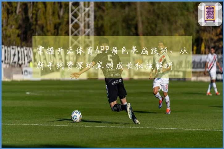 掌握开云体育APP角色养成技巧，从新手到资深玩家的成长秘诀解析